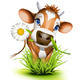 Jersey Cow in Grass - GraphicRiver Item for Sale