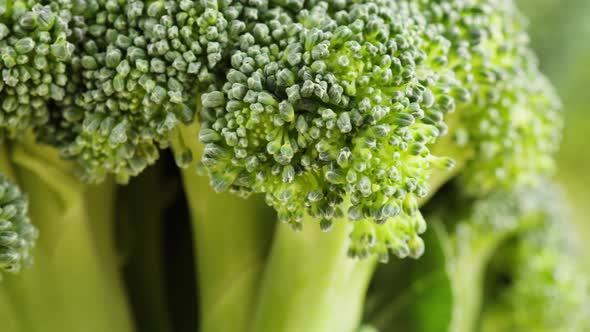 Broccoli Closeup Fresh Green Broccoli Vitamins Raw Food and Vegetarian Lifestyle Concept