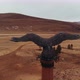 Aerial Shot of a Bronze Monument Eagle - VideoHive Item for Sale