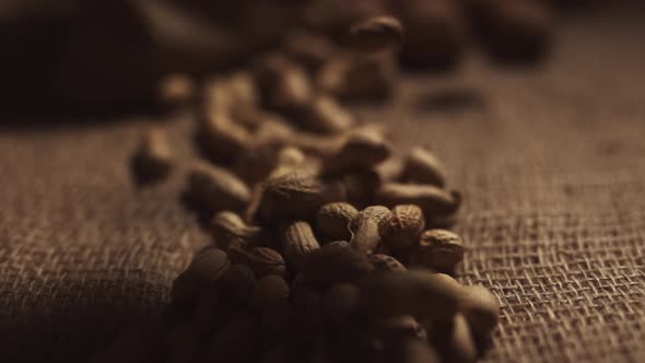 Close Up of Peanuts in Farmer Hands