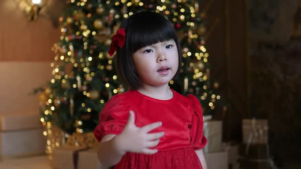 Korean Girl Child in a Red Dress Stands at the Christmas Tree in New Year