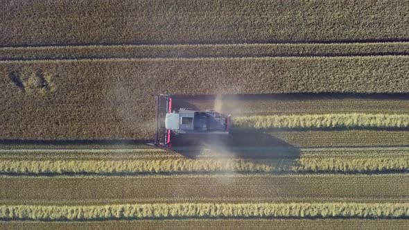 4K Aerial Shot Revealing Field With Combine Harvesting Wheat