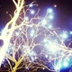 Glowing Trees At Night - VideoHive Item for Sale