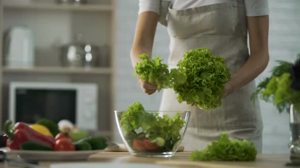 Female Preparing Green Salad, Tearing It and Putting in Glass Bowl, Dieting