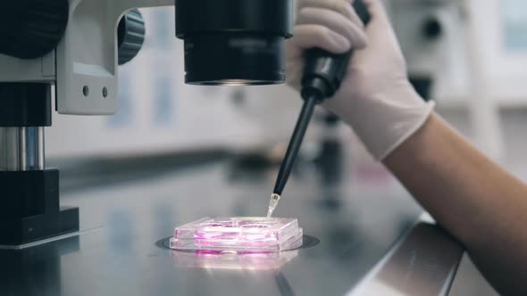 Relocation of Liquids Held Under the Magnifier By a Medical Laboratory Scientist