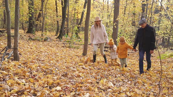 Parents and Kids Walk in the Forest on a Sunny Fall Day