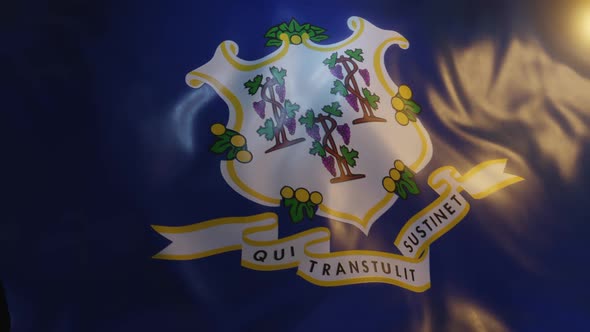 Connecticut State Flag