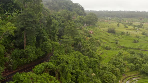 Aerial View of Vehicles Driving Through Rural Countryside in Bali in the Rain