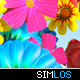 Flowers Transition Pack - VideoHive Item for Sale