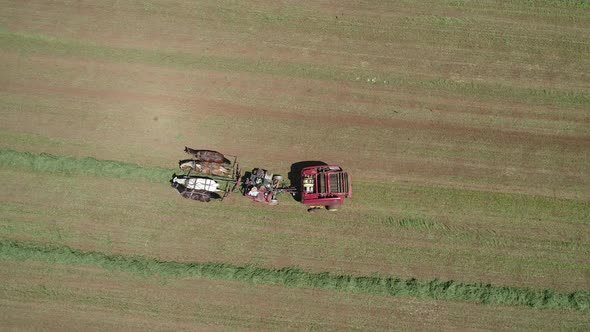 Aerial View of an Amish Farmer Harvesting His Crop with 4 Horses and Modern Equipment