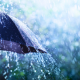 Relaxing Rain Under Umbrella ASMR