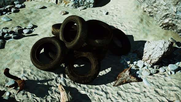 Old Tires Overgrown Embedded in the Sand