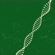 Dna Strand and Plexus - Green - VideoHive Item for Sale