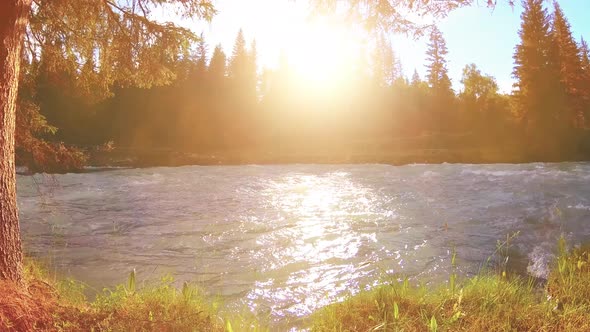 Meadow at Mountain River Bank