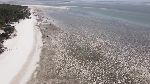 Shore of Zanzibar Island Tanzania at Low Tide