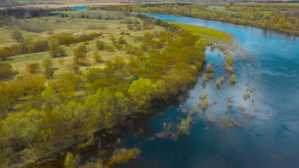 Aerial View Of Young Trees Growing In Water. spring flood, Waters In Spring Season.