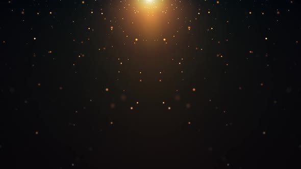 Gold Particle With Shiny Stars B-12
