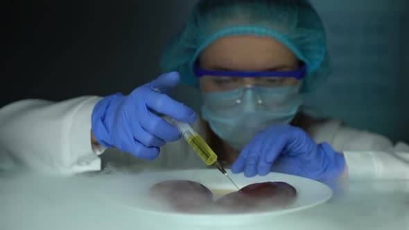 Scientist Taking Kidneys From Fridge and Injecting Liquid, Analyzing Tissues