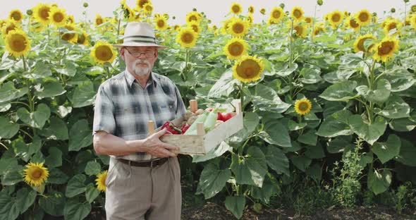 Happy Farmer Holds Crate with Vegetables and Smiles at Camera at Sunflower Field