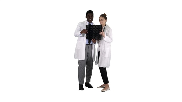 Serious Nice Woman Doctor and Afro American Doctor Study