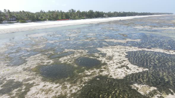 Aerial View of Low Tide in the Ocean Near the Coast of Zanzibar Tanzania Slow Motion