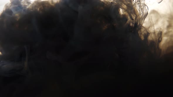 Black and White Ink Mix in Water