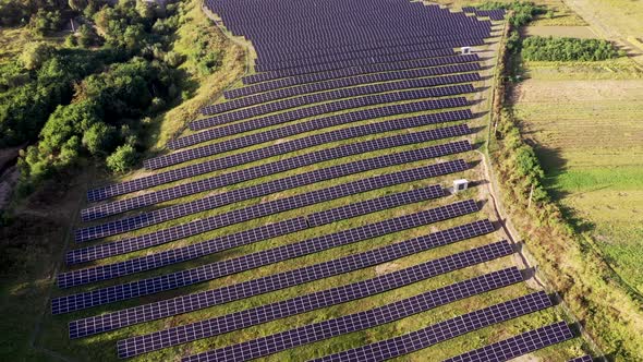 Solar panels among nature. Long rows of blue photovoltaic panels on the field