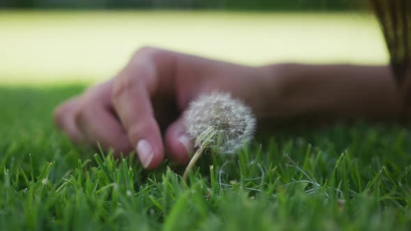 Close up of caucasian woman's hand picking dandelion from grass in garden on sunny day in slow motio