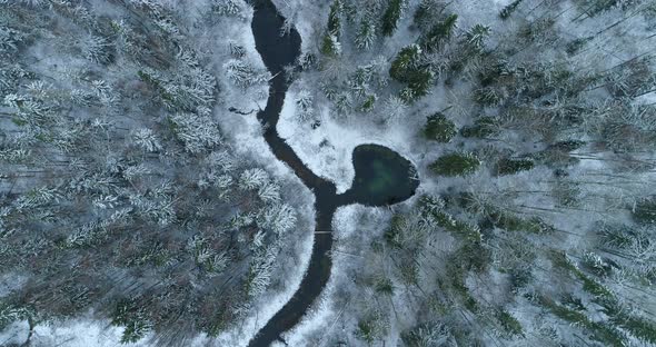 Water Springs and River in Winter Forest with Snowy Trees Aerial View