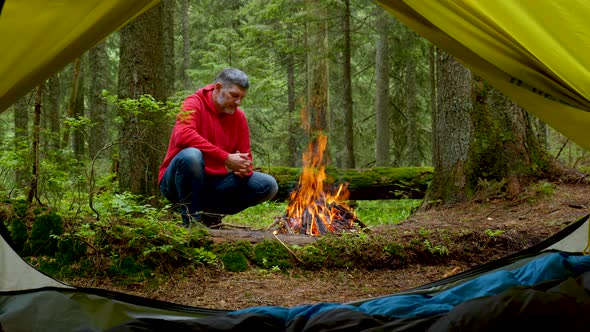 A Bearded Man Basking Near a Fire in a Beautiful Forest