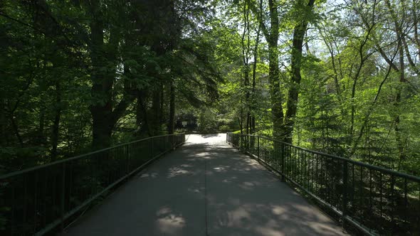 Bridge at the Botanical Garden, Cluj-Napoca