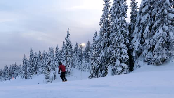 Winter Resort - Sunset Skiers