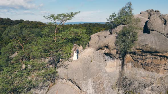 Wedding Couple in Mountain Rock From Drone. Aerial View Happy Newlyweds in Love Hugging Standing on