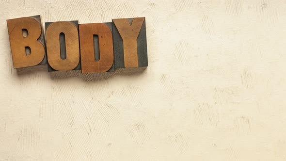 body, mind, soul and spirit - stop motion animation  alt