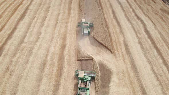 Aerial View of Harvester Machines Working in Wheat Field