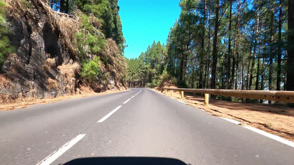 Road in Teide National Park, Tenerife, Canary Islands, Spain