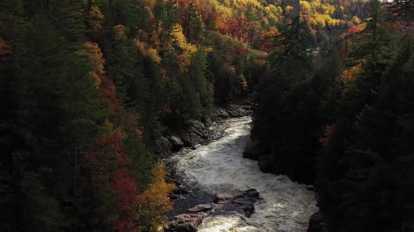 rapids in fall colored forest flight down stream treetop heights.