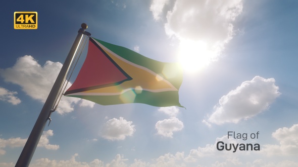 Guyana Flag on a Flagpole V2 - 4K