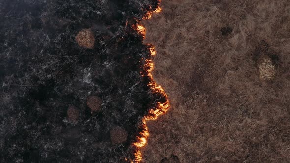 Natural Disaster, Burning Field. Epic Aerial Photography, Smoke Clouds and the Spread of Fire