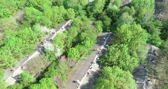 Aerial view of old abandoned pig farm. Livestock farm. Abandoned collective farm