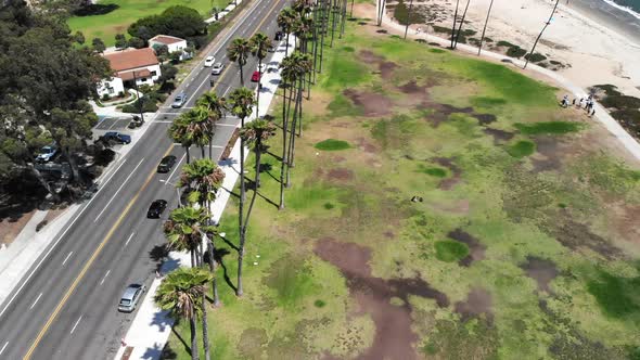 Aerial shot over the palm trees of Chase Palm Park and the busy city streets in Santa Barbara, Calif