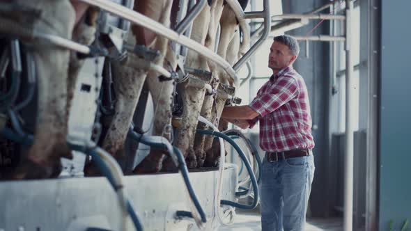 Farm Worker Checking Milking Automat on Mechanical Facility