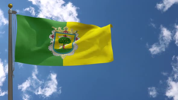 Zapopan City Flag (Mexico) On Flagpole