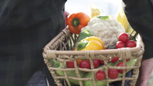 Farmer Holding a Box of Freshly Picked Organic Vegetables