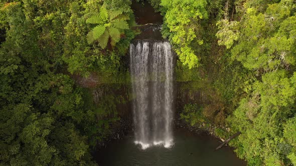 Millaa Millaa Falls waterfall tilt backward aerial with ferns and rainforest, Atherton Tablelands, Q