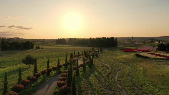 Scenic Landscape of Beautiful Summer Park Dobropark at Sunrise Motyzhyn Ukraine