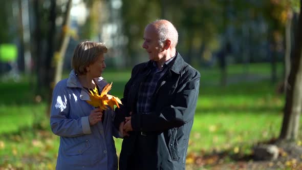 Bald Old Man and His Elderly Wife Are Walking Together in Park at Autumn Day, Happy Spouses at