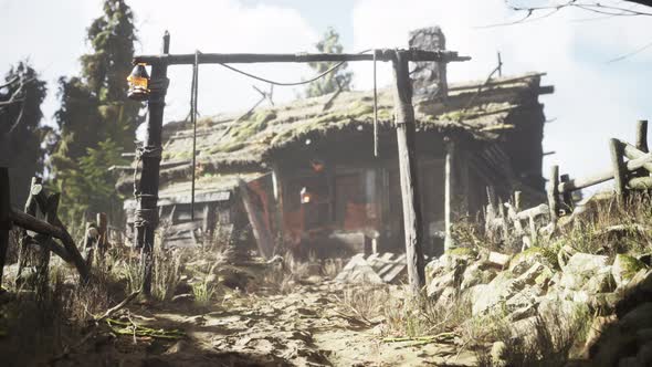 Old Retro Village in Pine Forest alt