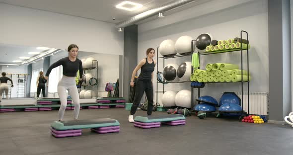 Two Attractive Women Perform Fitness Exercises on the Steppes