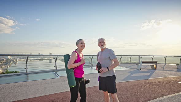 Cheerful Friends Laugh and Talk Standing on Observation Deck